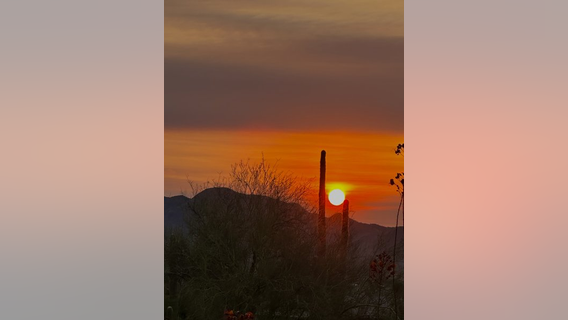 Arizona Photo of the Day - September 2024