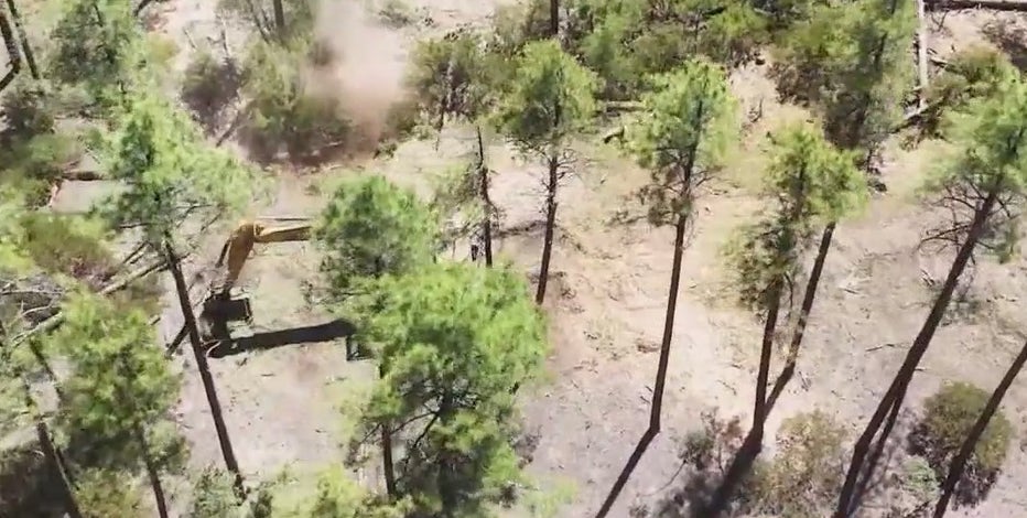 Crews clean up northern Arizona's Dude Fire site in Tonto National Forest
