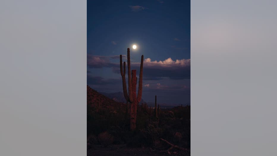 What a lovely look at the night sky, as we wrap up the weekend! Have a great night everyone. Thanks Vanessa Siler for sharing this photo from Usery Mountain Regional Park!