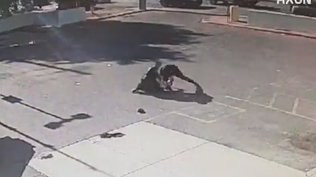 Tyron McAlpin case: Phoenix PD suspends officers, issues de-escalation training