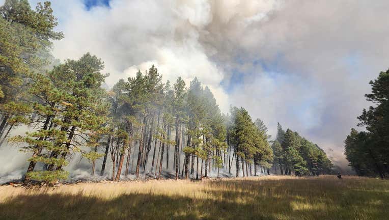 Coconino National Forest begins series of prescribed burns in