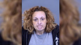 Mesa woman kept journal depicting torture, killing of dogs: police