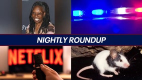 Whoopi Goldberg refused service for politics; Netflix outage during Jake Paul vs Mike Tyson | Nightly Roundup