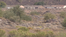 Witness says there were clues nearby after discovering human remains in north Phoenix desert