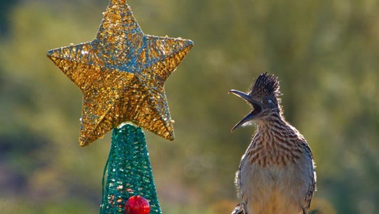 Arizona Photo of the Day - November 2024 | FOX 10 Phoenix