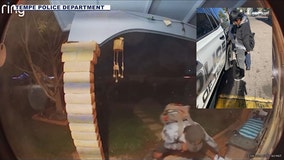 Tempe Police's 'Operation Secret Santa' nabs porch pirates with bait packages this Christmas