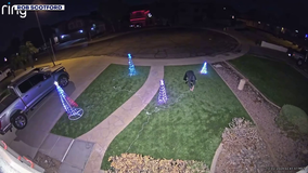 Thief steals Christmas decoration from Gilbert family's home: 'Just bring it back'