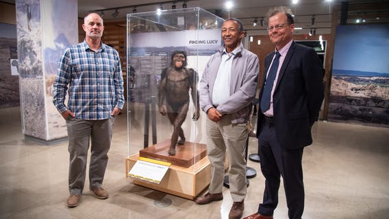 ASU's new exhibit showcases humanity from millions of years ago