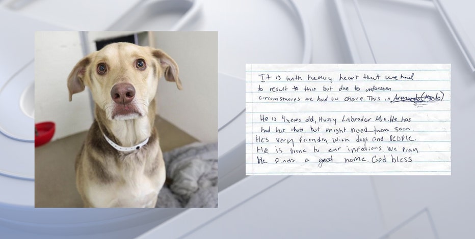 Arizona dog found with heartbreaking note from family looks for forever home