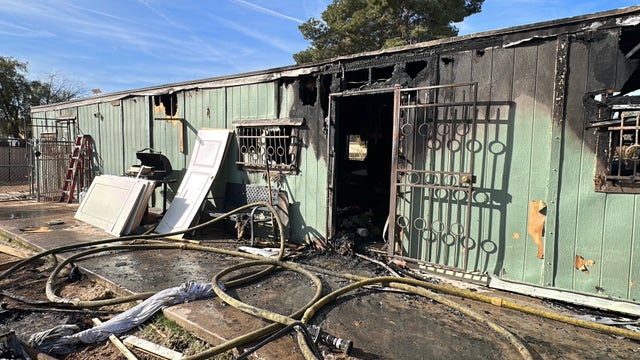 10 dogs, including new litter of puppies, killed in south Phoenix mobile home fire