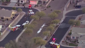 Swarm of bees in Surprise attacks man, sending him to the hospital