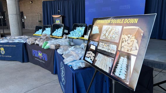 'Operation Double Down': Guns, drugs, cash seized during international operation