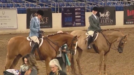 Behind-the-scenes of the 70th annual Arabian Horse Show in Scottsdale