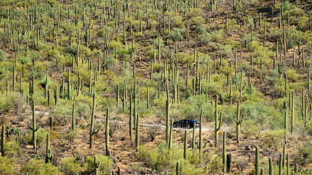Phoenix and Saguaro National Park rated as top spring break destinations despite rising costs for travelers