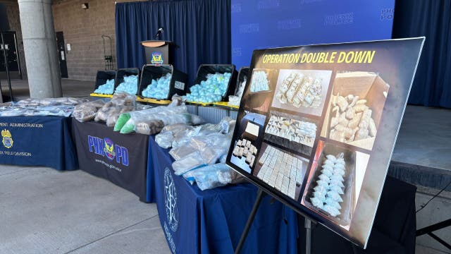 'Operation Double Down': Guns, drugs, cash seized during international operation