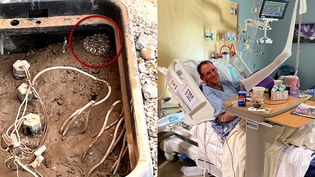 Banner Health reports first rattlesnake bite patient for 2025