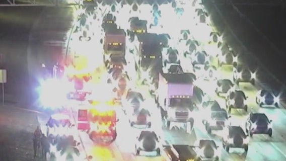 Troopers use grappler to stop pursuit suspect on I-10