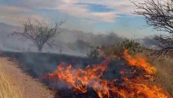 Arizona's wildfire outlook for 2025