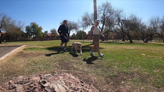 ASU study suggests we might not understand our dog's thoughts