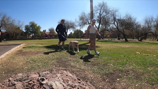 ASU study suggests we might not understand our dog's thoughts