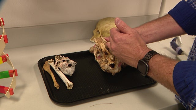 Arizona State University's forensic program is seeing growth due to innovative, unique teaching methods