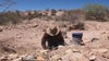 Hunting for gold with an Arizona prospect