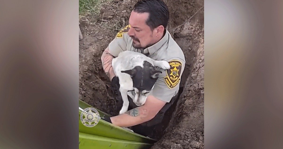 prescott-valley-dog-rescue2.