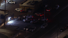 Suspect with bat and machete arrested in Glendale