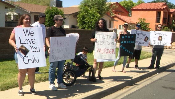 Advocates rally for chihuaha beaten in Peoria as police recommend charges to Maricopa County