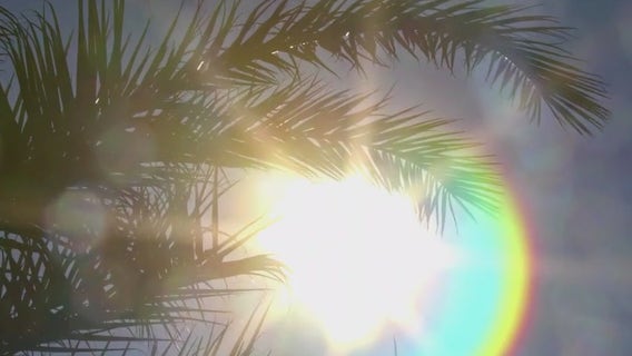 Study looks at extreme heat's impact on internal health, aging