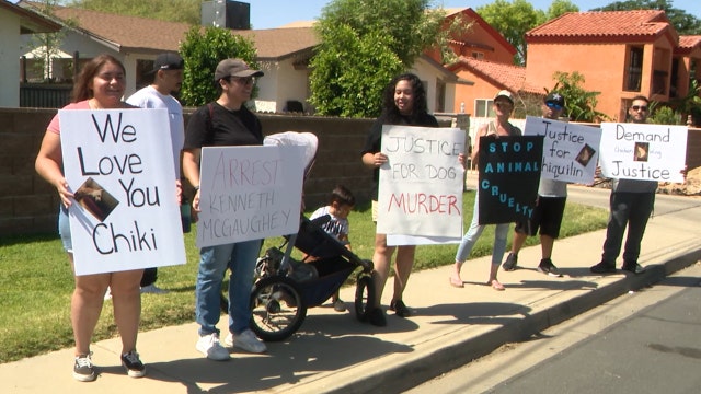 Advocates rally for chihuaha beaten in Peoria as police recommend charges to Maricopa County