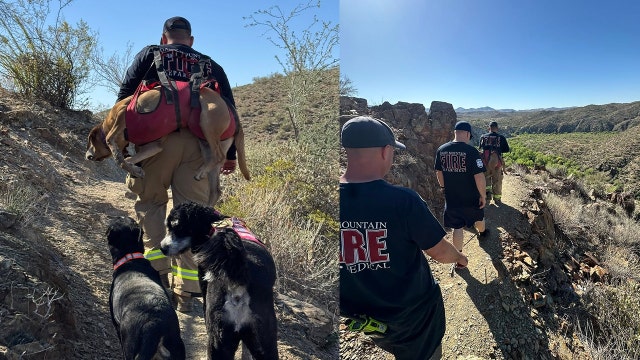 Missing dogs Spike and Snickers rescued by Daisy Mountain Fire and Rescue