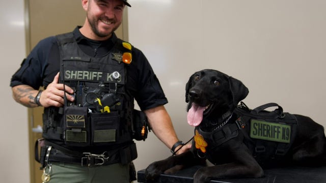 MCSO K-9 Max recovers after being exposed to fentanyl