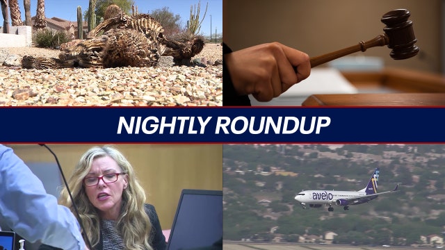 Extreme heat affecting iconic cacti; airline faces deportation flight backlash | Nightly Roundup