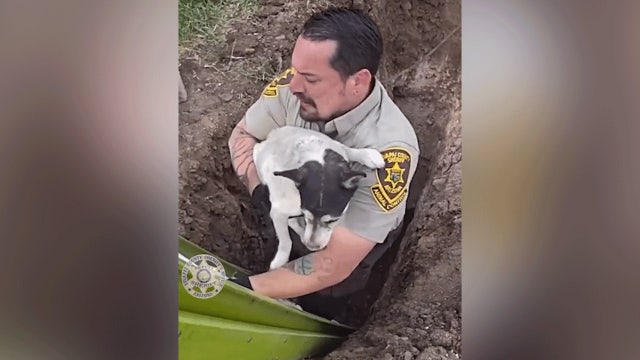 Dog stranded for days in sinkhole caught on camera getting rescued after utility worker hears barks