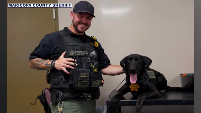 New protocols and body scanners coming to Maricopa County jails after K9 Max is exposed to fentanyl