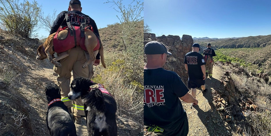 Missing dogs Spike and Snickers rescued by Daisy Mountain Fire and Rescue
