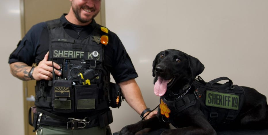 MCSO K-9 Max recovers after being exposed to fentanyl