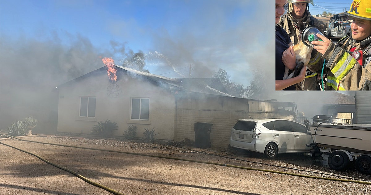 House fire in Phoenix displaces family of 4 and a dog | FOX 10 Phoenix