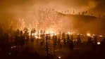 Greer Fire forces evacuations in eastern Arizona as high winds fuel its growth