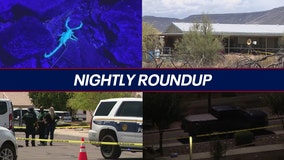 Scorpion hotspot keeps Gilbert man busy; Arizona woman faces 'body broker' accusations | Nightly Roundup