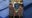 Arizona missing persons cases - 2025