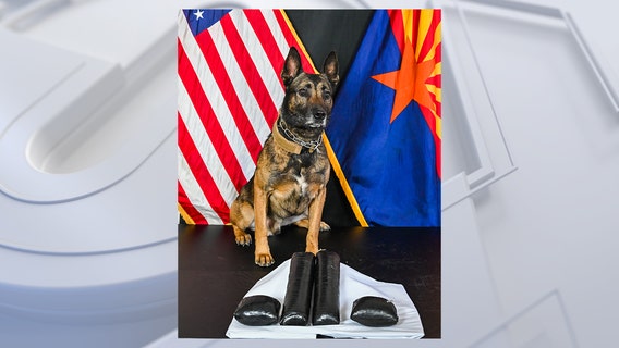 K9 Dex nabs suspects accused of having 35,000 pills in Coconino County