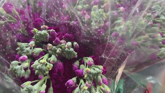 Floral costs up due to Mother's Day, prom season and tariffs