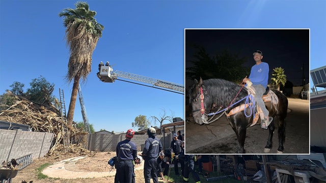 Tree trimmer dies after being rescued from 50-foot palm tree in Phoenix