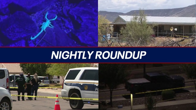 Scorpion hotspot keeps Gilbert man busy; Arizona woman faces 'body broker' accusations | Nightly Roundup