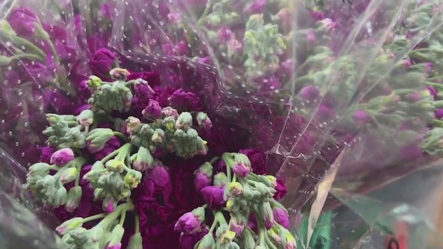 Floral costs up due to Mother's Day, prom season and tariffs