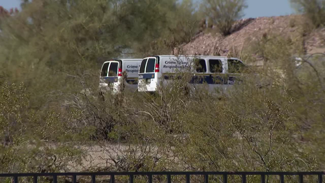 Skeletal remains found on property of Tovrea Castle in Phoenix