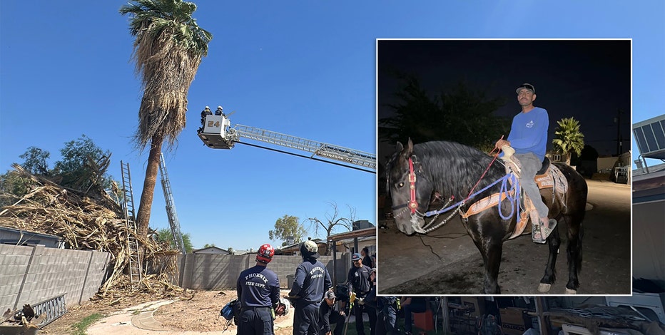 Tree trimmer rescued from 50-foot palm tree in Phoenix