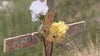 MCSO makes a renewed call for help in solving teens' Mount Ord deaths